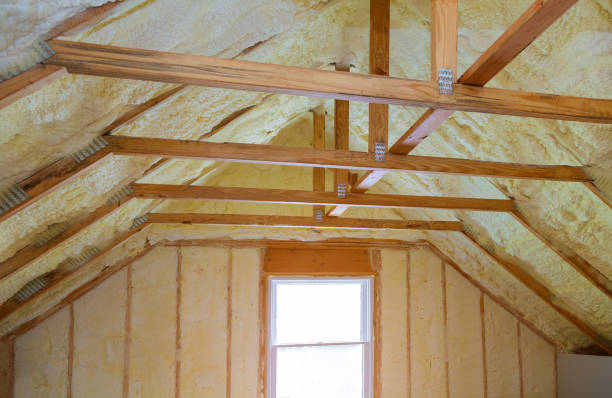 Best Home Insulation Services  in USA